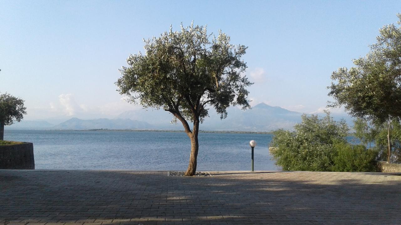 Hotel Shkodra Lake Široka Exteriör bild
