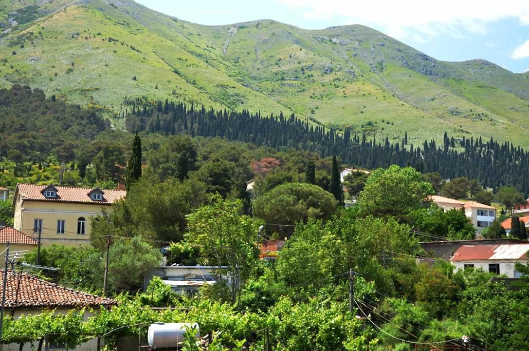 Hotel Shkodra Lake Široka Exteriör bild